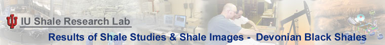 banner for shale studies - devonian black shales