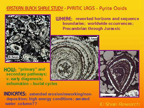images of pyrite ooids in devonian black shales