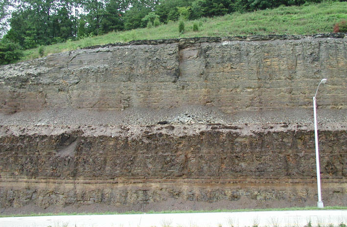 A scientific diagram shows three magnified images of in-situ quartz grains, which were formed by the early diagenetic silicification of Tasmanites cysts and indicate a paleoproductivity source.