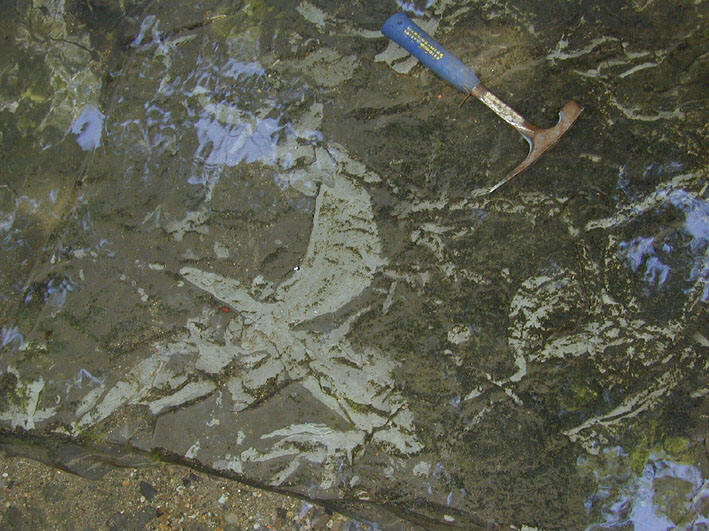 A top-down view of a rock outcrop shows a large, crescent-shaped trace fossil with a geologic hammer for scale.