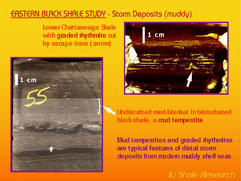 A slide from a study shows a diagram of a flume experiment, with a large white arrow indicating the direction of flow and smaller arrows pointing to three vertical structures within the tank.