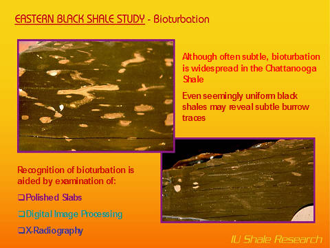 A slide from a scientific study shows two magnified images of a geological sample, with annotations describing graded rhythmites and a burrowing trace fossil, which are identified as mud tempesites from storm deposits.