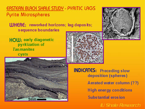 A presentation slide shows two magnified images of geological samples, highlighting fine bioturbation features in the rock, and notes that subtle burrows can be revealed through digital image processing and X-radiography.