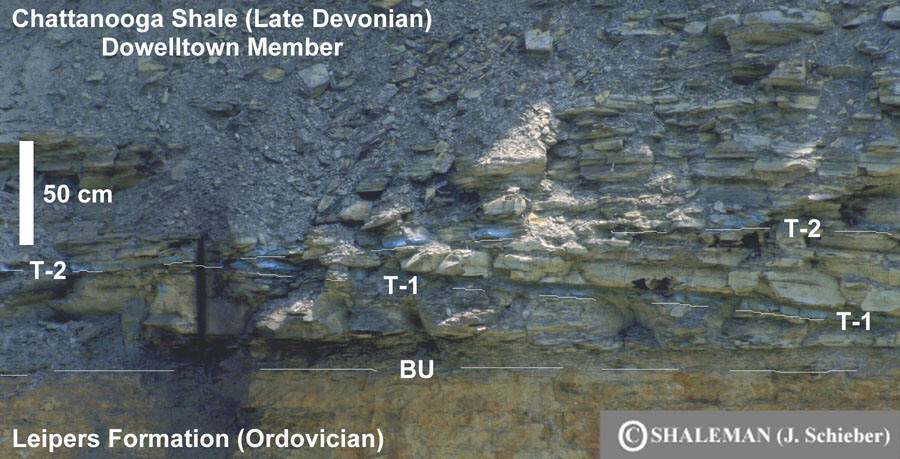 A geologic outcrop shows a clear boundary between the upper Chattanooga Shale (Late Devonian) and the lower Leipers Formation (Ordovician), with a labeled unconformity and numbered tuff beds.
