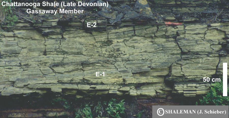 A photograph of the Chattanooga Shale outcrop, specifically the Gassaway Member, showing horizontal bedding and two labeled horizons, E-1 and E-2, with a 50 cm scale bar on the right.