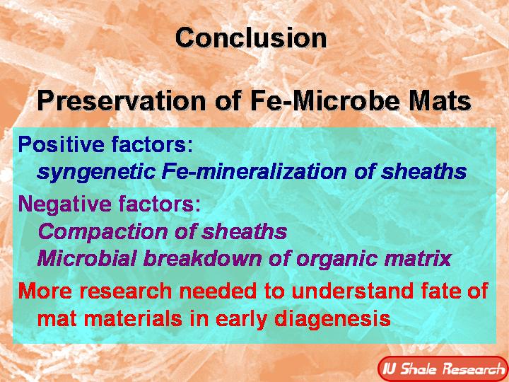 Slide titled 'Conclusion: Preservation of Fe-Microbe Mats.' Positive factor: syngenetic Fe-mineralization of sheaths. Negative factors: compaction of sheaths and microbial breakdown of organic matrix. Emphasis on need for more research into the fate of mat materials during early diagenesis. IU Shale Research logo at bottom