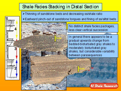 Slide titled 'Shale Facies Stacking in Distal Section.' Includes stratigraphic diagram and photos of shale outcrops with scale bars. Notes describe thinning sandstone beds, eastward pinch-out of sandstone tongues, lack of distinct facies packages, and upward change from bedded-bioturbated gray shales to moderately bioturbated gray shales, with variability between parasequences. IU Shale Research logo at bottom