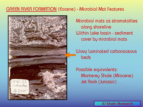 Slide titled 'Green River Formation (Eocene) – Microbial Mat Features.' Photograph of laminated rock with microbial mats forming stromatolites and wavy carbonaceous beds. Notes mention lake basin sediment cover by microbial mats and possible equivalents in Monterey Shale (Miocene) and Jet Rock (Jurassic). IU Shale Research logo at bottom