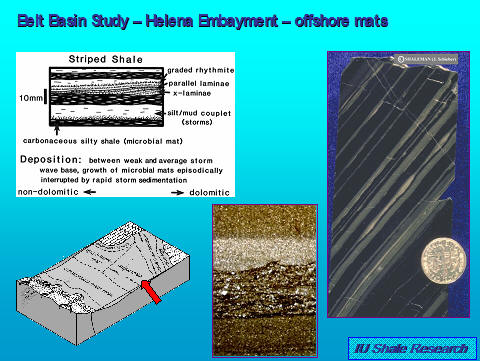 Slide titled 'Belt Basin Study – Helena Embayment – offshore mats.' Includes diagram and description of striped shale with graded rhythmites, laminated silty/mud couplets, and carbonaceous silty shale microbial mats. Photos show dark laminated shale samples, one with a coin for scale, and a 3D block diagram illustrating deposition between storm wave base and fair-weather wave base. IU Shale Research logo at bottom