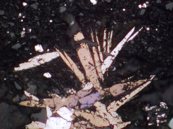 Photomicrograph of Mineral Crystals in a Shale Thin Section