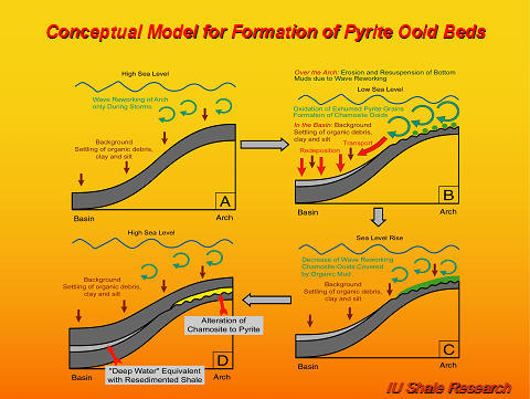 Slide titled 'Conceptual Model for Formation of Pyrite Ooid Beds.' Diagram illustrates four stages (A–D) showing sea-level changes, wave reworking, oxidation, erosion, and chemical processes leading to pyrite ooid formation in basin and arch settings. IU Shale Research logo at bottom