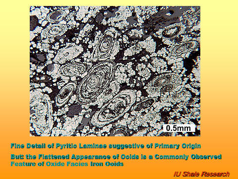 Microscopic image of pyritic laminae showing concentric structures of ooids. Text notes that the detail suggests primary origin, while the flattened appearance is a common feature of oxide facies iron ooids. Scale bar indicates 0.5 mm. IU Shale Research logo at bottom