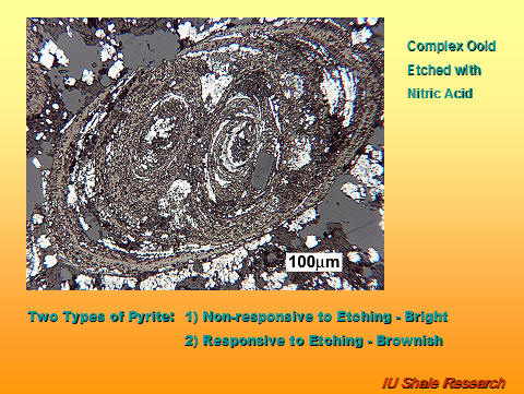 Microscopic image of a complex pyrite ooid etched with nitric acid, showing concentric layers. Text notes two types of pyrite: bright, non-responsive to etching, and brownish, responsive to etching. Scale bar indicates 100 µm. IU Shale Research logo at bottom