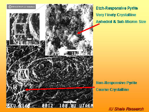 Microscopic images of pyrite textures. Top shows etch-responsive pyrite with very fine, sub-micron crystalline structure. Bottom shows non-responsive pyrite with coarse crystalline texture. Labels and arrows indicate the two types. IU Shale Research logo at bottom