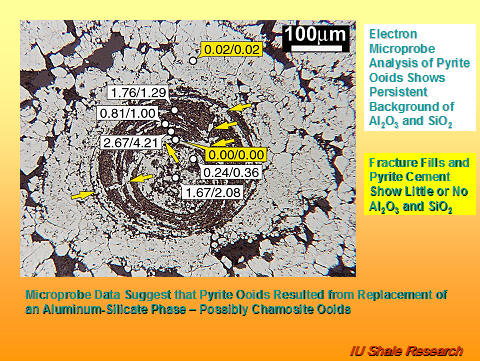 Microscopic image of a pyrite ooid with concentric layers labeled with microprobe analysis values. Text notes persistent background of aluminum oxide (Al₂O₃) and silicon dioxide (SiO₂), but little or none in fracture fills and pyrite cement. Conclusion: pyrite ooids likely formed by replacement of an aluminum-silicate phase, possibly chamosite ooids. Scale bar indicates 100 µm. IU Shale Research logo at bottom