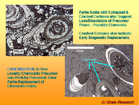 Slide showing microscopic images of pyrite ooids with collapsed and cracked cortexes, suggesting loss or dissolution of a precursor phase, possibly chamosite. Lower image shows confirmation with partial preservation of a chamosite precursor and pyrite replacement. Scale bars indicate 100 µm and 1 mm. IU Shale Research logo at bottom