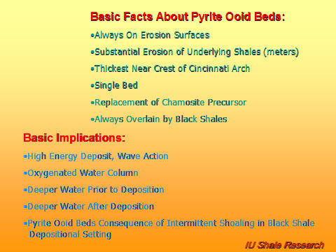 Slide titled 'Basic Facts About Pyrite Ooid Beds.' Notes: occur on erosion surfaces, involve substantial erosion of underlying shales, thickest near crest of Cincinnati Arch, form a single bed, replace chamosite precursor, and are overlain by black shales. Implications include high-energy wave action, oxygenated water column, deeper water before and after deposition, and intermittent shoaling in black shale settings. IU Shale Research logo at bottom