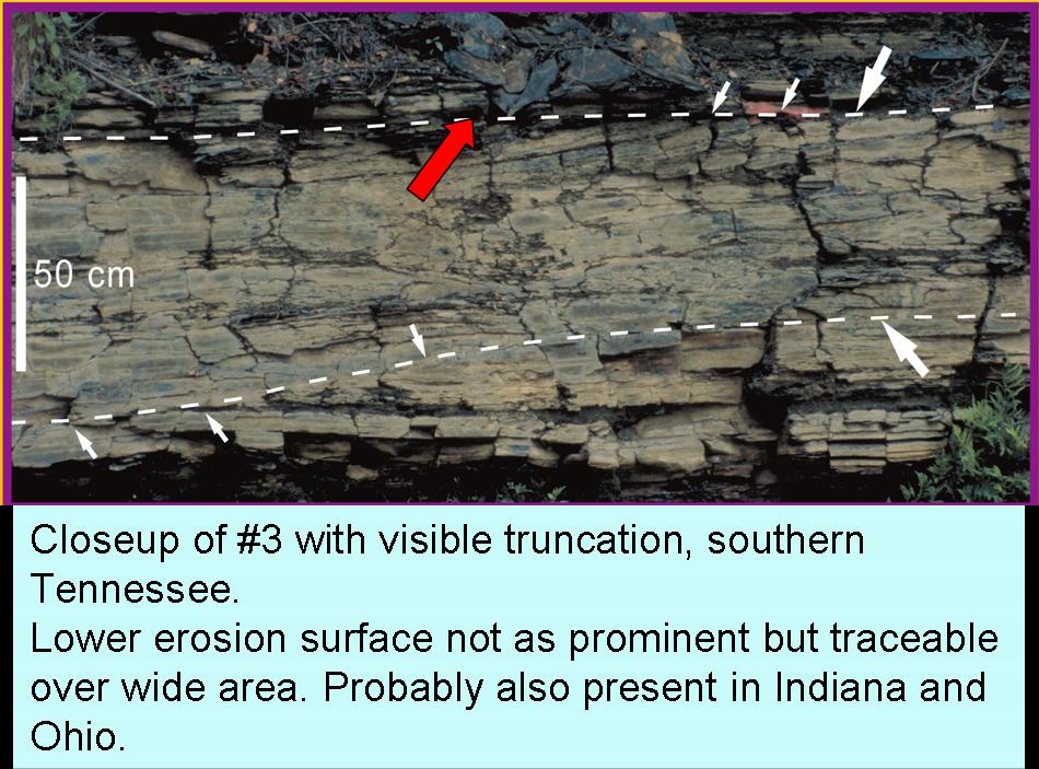 A geologic outcrop in southern Tennessee shows a rock with prominent, labeled horizontal layers and a scale bar of 50 cm, with white dashed lines and arrows indicating subtle truncation surfaces.