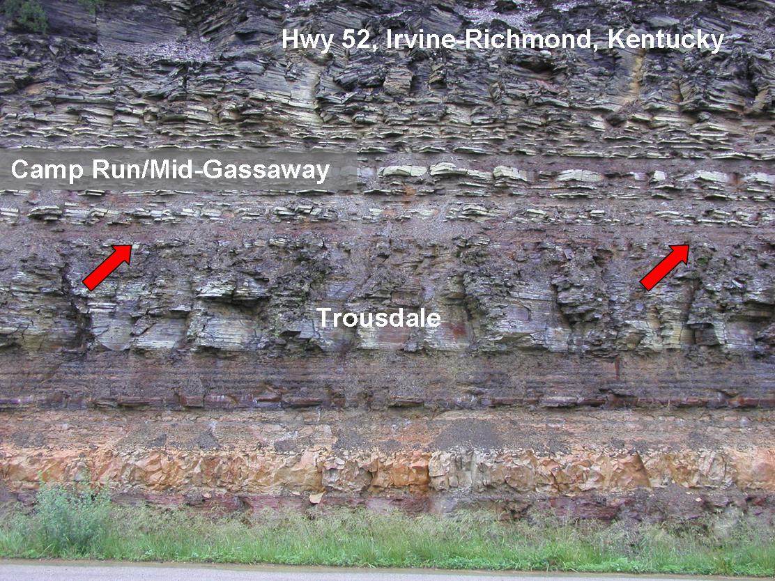 A large geologic outcrop along a highway in Kentucky shows distinct horizontal layers of Camp Run/Mid-Gassaway and Trousdale shale formations.
