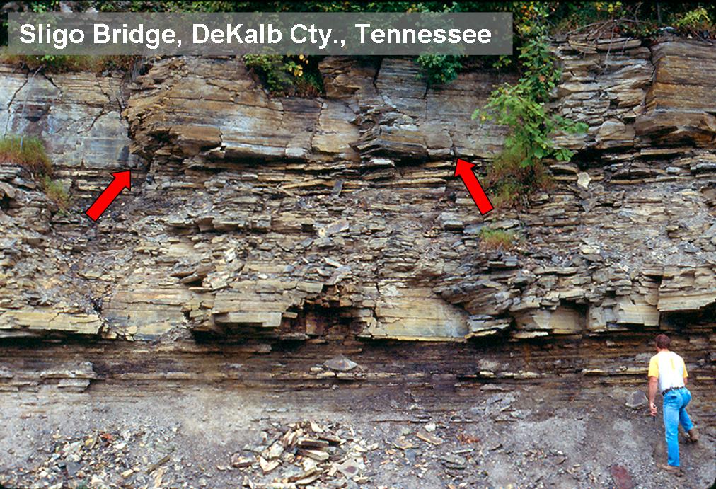 A rock outcrop near Sligo Bridge, DeKalb County, Tennessee, shows a heavily fractured and weathered shale section with a person at the base for scale and a red arrow highlighting a potential erosion surface.
