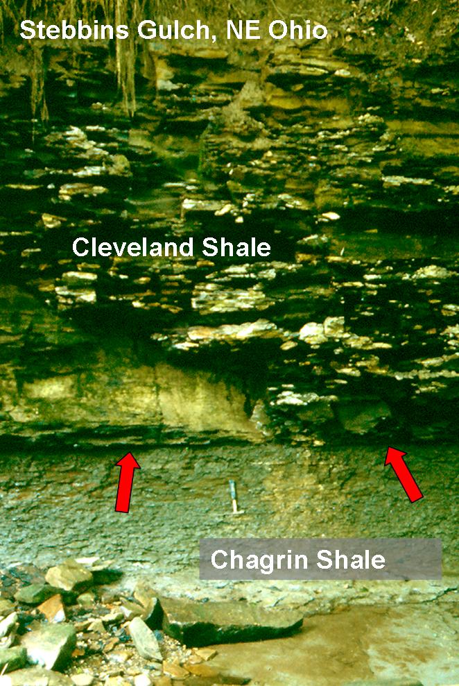 A geological outcrop at Stebbins Gulch, northeast Ohio, shows the contact between the lighter-colored Cleveland Shale and the darker Chagrin Shale, with two red arrows highlighting the boundary.