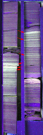 picture of drill core under UV light