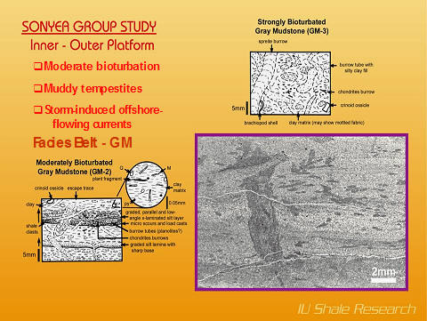 A scientific slide from the Sonyea Group Study shows the characteristics of the Inner-Outer Platform mudstone, with detailed drawings of bioturbated facies and a magnified photograph of a bioturbation trace fossil.