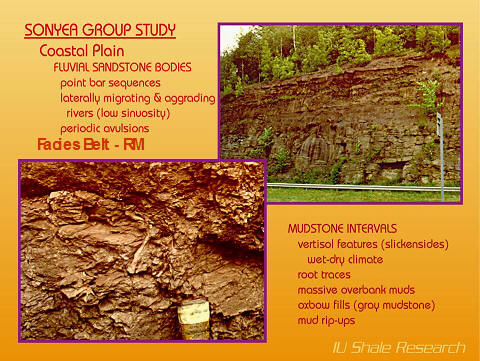 A scientific slide from the Sonyea Group Study shows a photograph of a coastal plain outcrop, with a close-up image of mudstone intervals and text describing fluvial sandstone bodies and mudstone features.
