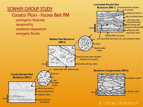 A scientific diagram from the Sonyea Group Study shows the different types of Coastal Plain mudstones, with detailed drawings of their sedimentary features, including laminated, mottled, faintly banded, and conglomerated facies.