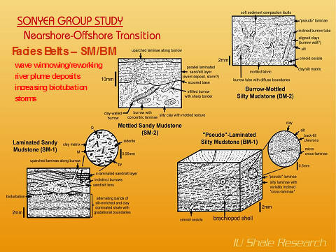 A scientific diagram from the Sonyea Group Study shows the different facies of the nearshore-offshore transition, with detailed drawings of bioturbated mudstones and their sedimentary features, including burrows, laminae, and trace fossils.