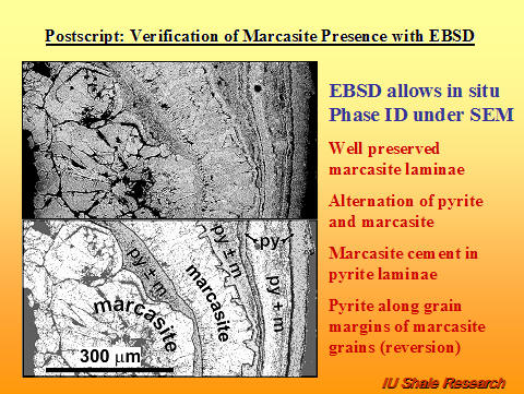 Slide titled 'Postscript: Verification of Marcasite Presence with EBSD.' Microscopic images show well-preserved marcasite laminae with labels indicating pyrite, marcasite, and grain boundaries. Notes explain alternation of pyrite and marcasite, marcasite cement in pyrite laminae, and pyrite along margins of marcasite grains. Scale bar indicates 300 µm. IU Shale Research logo at bottom