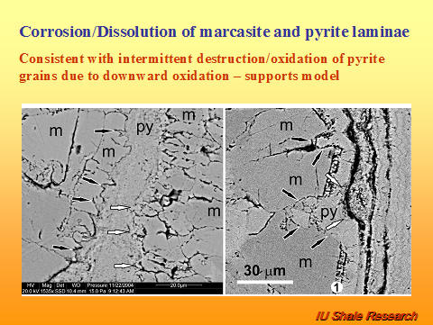 Slide titled 'Corrosion/Dissolution of marcasite and pyrite laminae.' Microscopic images show labeled marcasite (m) and pyrite (py) grains with cracks and dissolution features. Text notes this is consistent with intermittent destruction and oxidation of pyrite due to downward oxidation. Scale bar indicates 30 µm. IU Shale Research logo at bottom