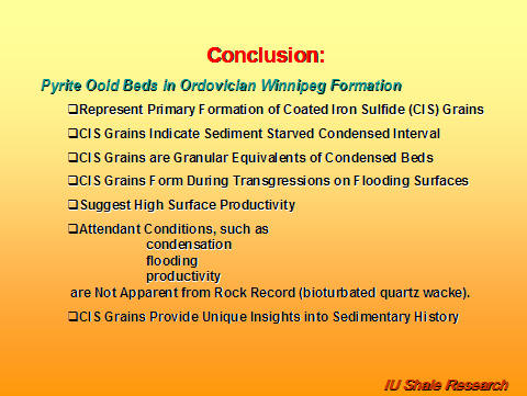 Slide titled 'Conclusion: Pyrite Ooid Beds in Ordovician Winnipeg Formation.' Key points: coated iron sulfide (CIS) grains formed during sediment-starved intervals; CIS grains are granular equivalents of condensed beds and form on flooding surfaces; suggest high surface productivity; associated conditions like condensation and flooding are not evident in rock record; CIS grains provide insights into sedimentary history. IU Shale Research logo at bottom