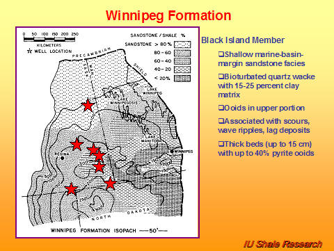 Slide titled 'Winnipeg Formation.' Map shows isopach thickness of sandstone and shale across Manitoba with red stars marking study sites. Text describes Black Island Member as shallow marine sandstone facies with bioturbated quartz wacke, ooids in upper portion, associations with scours and wave ripples, and thick beds up to 15 cm containing as much as 40% pyrite ooids. IU Shale Research logo at bottom