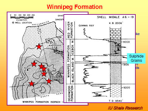 Slide titled 'Winnipeg Formation.' Left panel shows isopach map with red stars marking study locations. Right panel shows well log for Shell Midale A6-19, including gamma ray and lithologic columns, highlighting the presence of sulphide grains in the Black Island Member. IU Shale Research logo at bottom