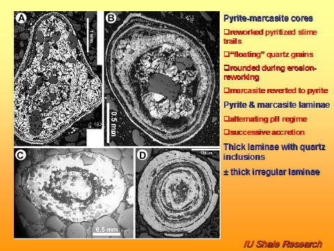 Slide with four microscopic images (A–D) of pyrite and marcasite ooids showing concentric laminae, quartz inclusions, and internal textures. Text highlights pyrite-marcasite cores, reworked pyritized slime trails, floating quartz grains, alternating pH regimes, successive accretion, and thick irregular laminae. IU Shale Research logo at bottom