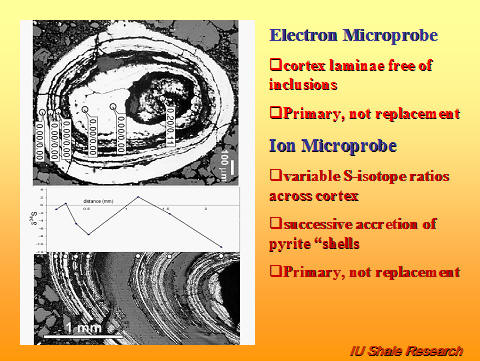 Slide showing microscopic images and graphs of a pyrite ooid analyzed with electron and ion microprobes. Notes highlight cortex laminae free of inclusions, variable sulfur isotope ratios, successive accretion of pyrite shells, and evidence for primary rather than replacement origin. IU Shale Research logo at bottom