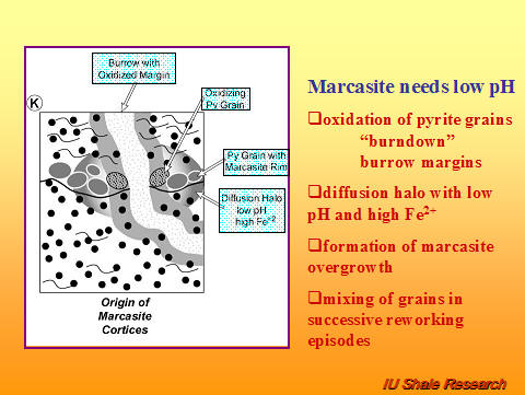 Slide titled 'Marcasite needs low pH.' Diagram illustrates burrow with oxidized margins, pyrite grains, and diffusion halo with low pH and high Fe²⁺, leading to formation of marcasite cortices. Text lists processes: oxidation of pyrite grains, diffusion halo effects, marcasite overgrowth, and mixing of grains during reworking. IU Shale Research logo at bottom